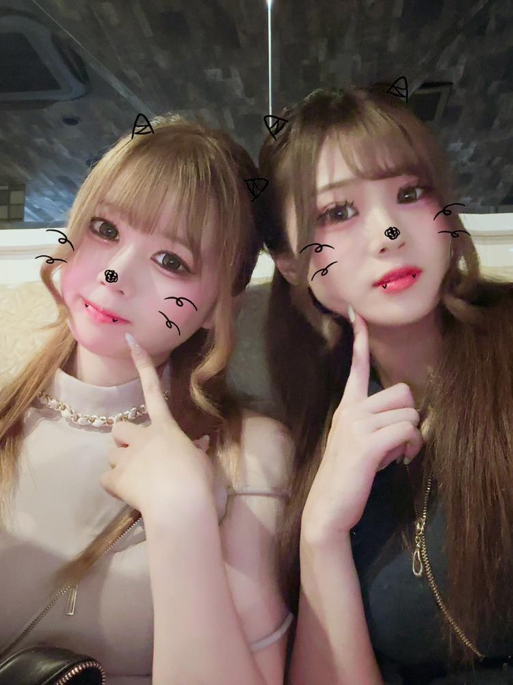 こんにちは(」・ω・)