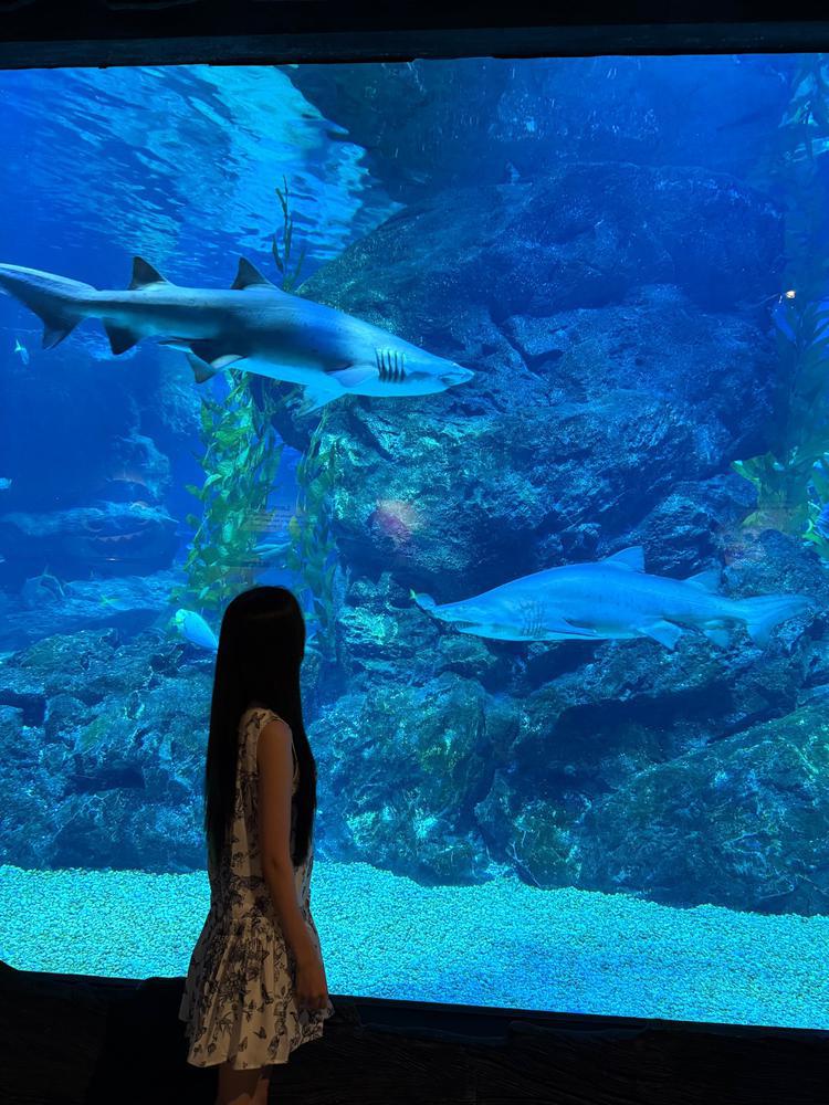 しゅヾ(・ω・)ゞ