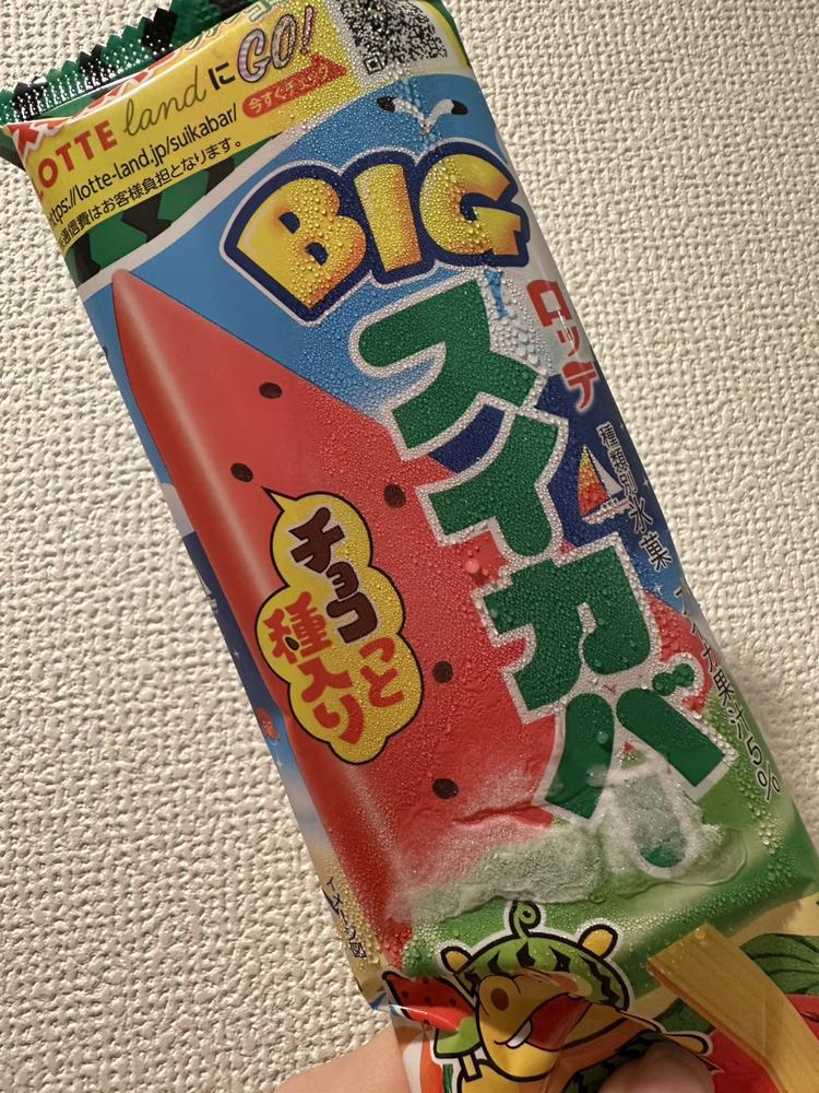 8月スタート🌻