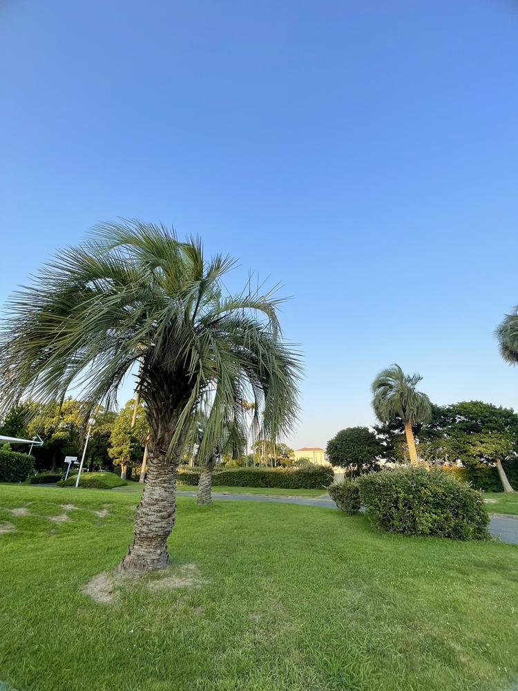 😑😑😑😑😑😑