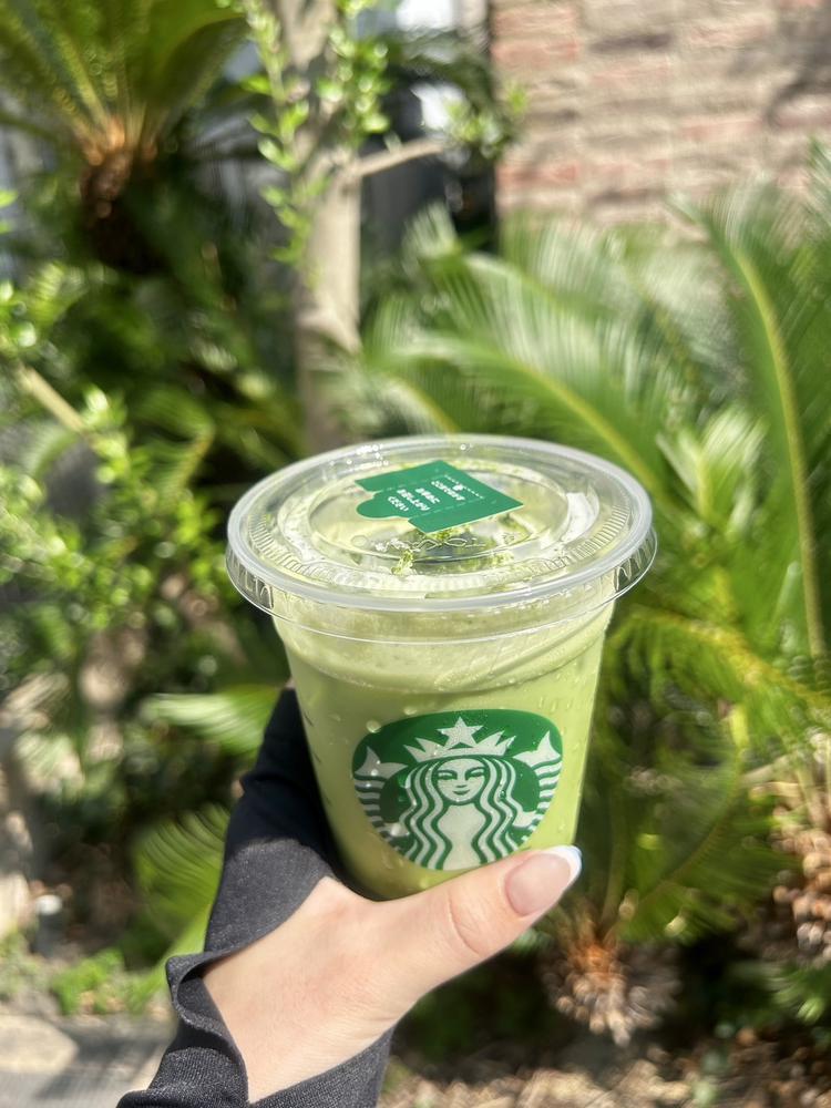 抹茶🍵