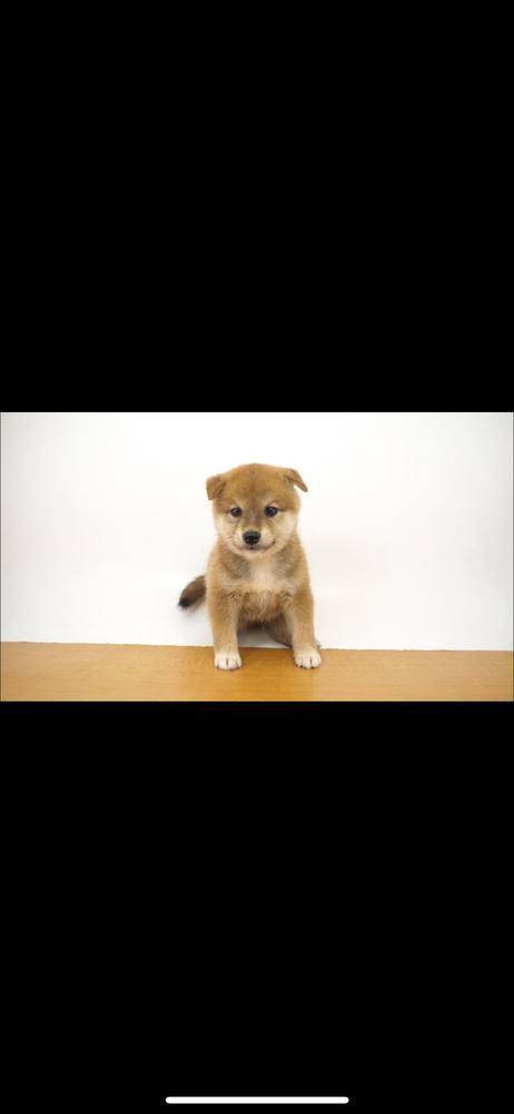 モチベーション