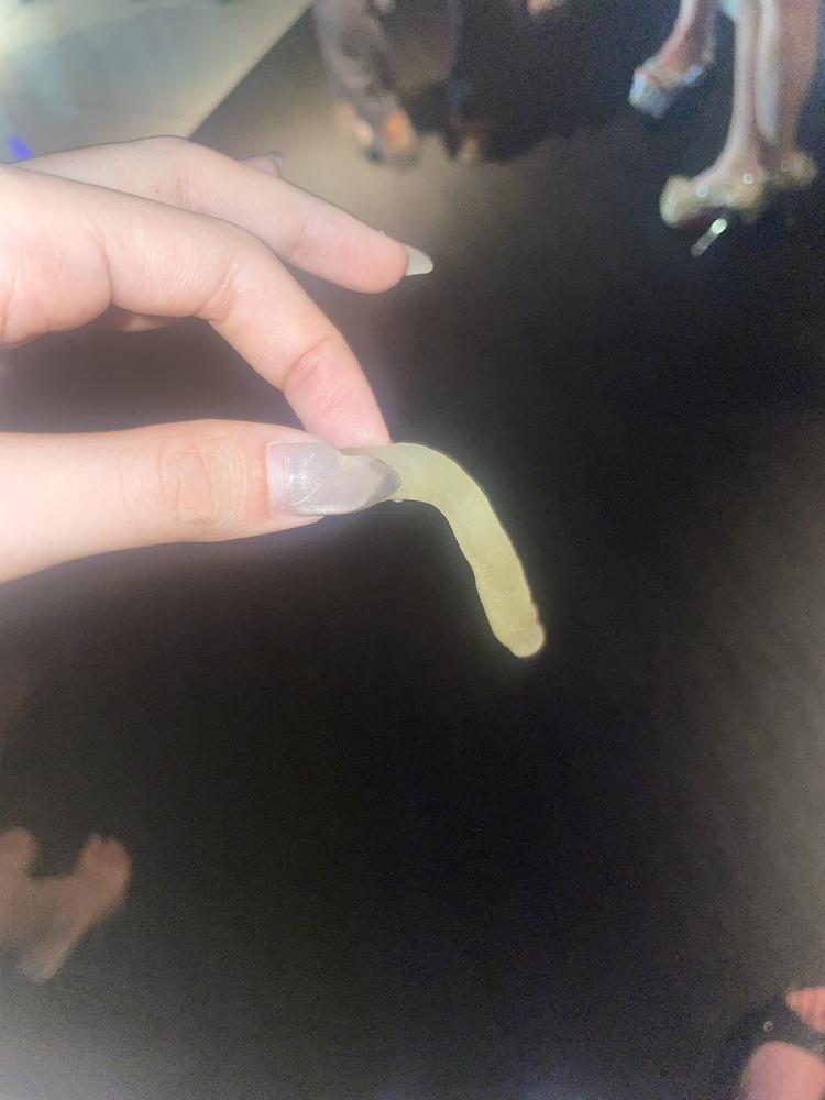 ち◯あなご