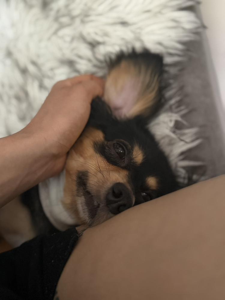 わたしもおとなり、、、