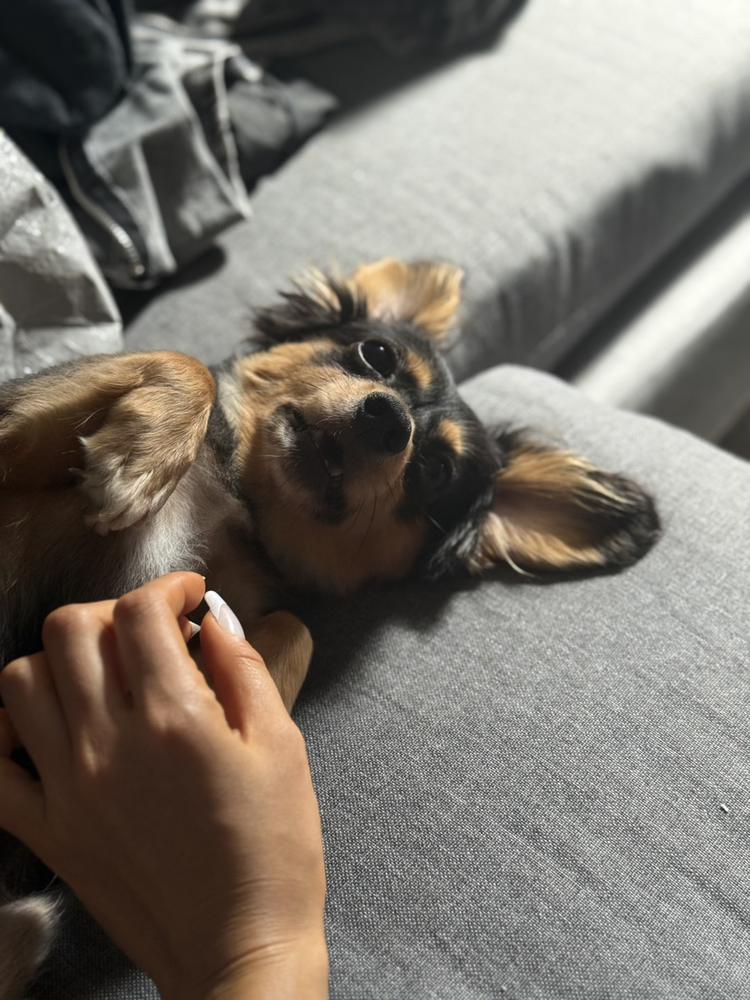 もぉきのうさぁ