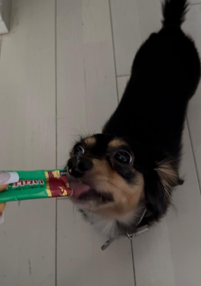 わんこも狂わす♡