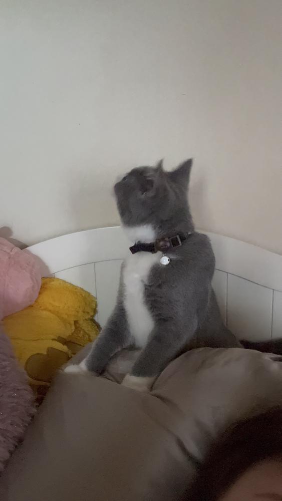 久しぶりの出勤です( ᐢᴗᐢ )