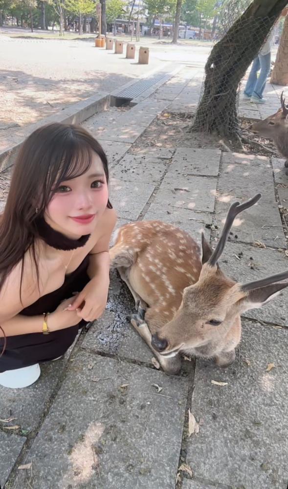 しゅ