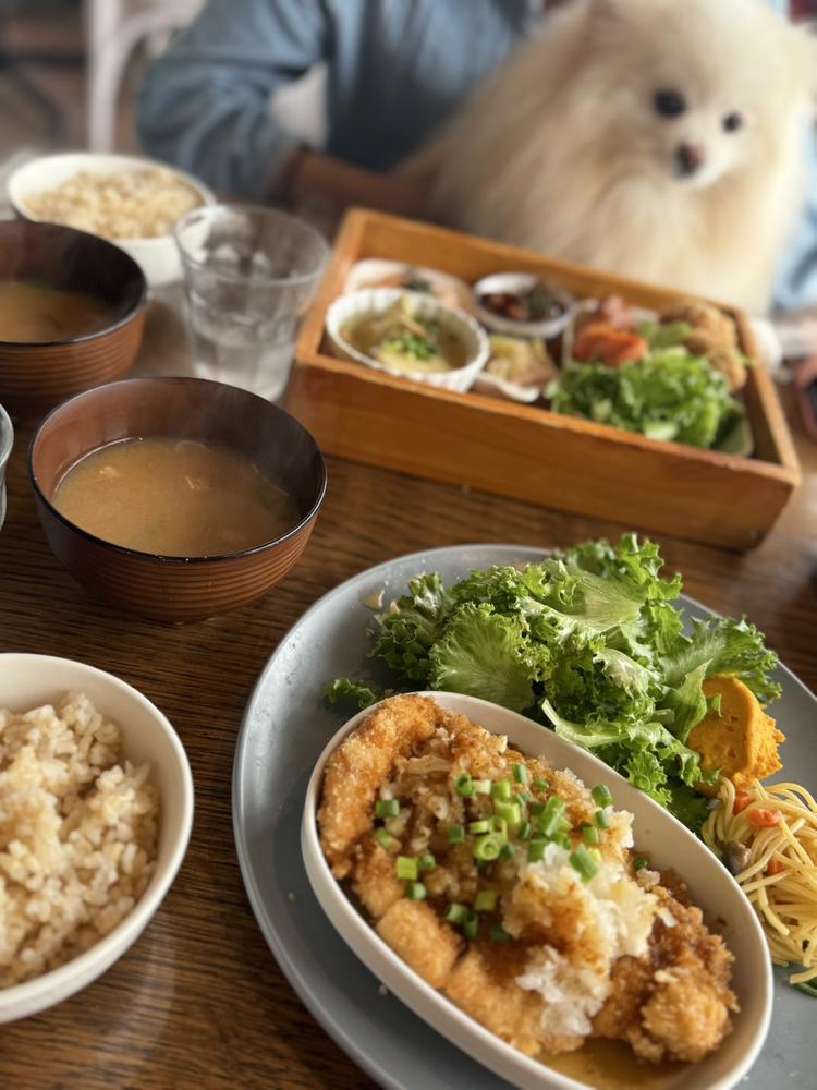 愛犬と一緒に🍽️🐾