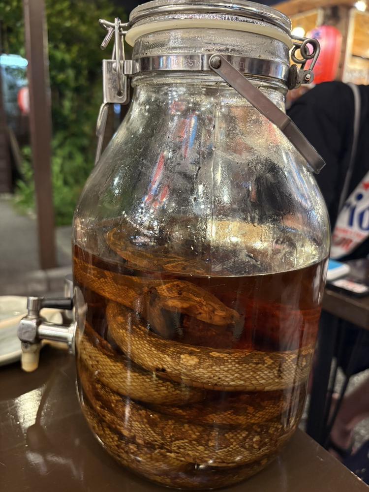 沖縄🌴🌺✨️