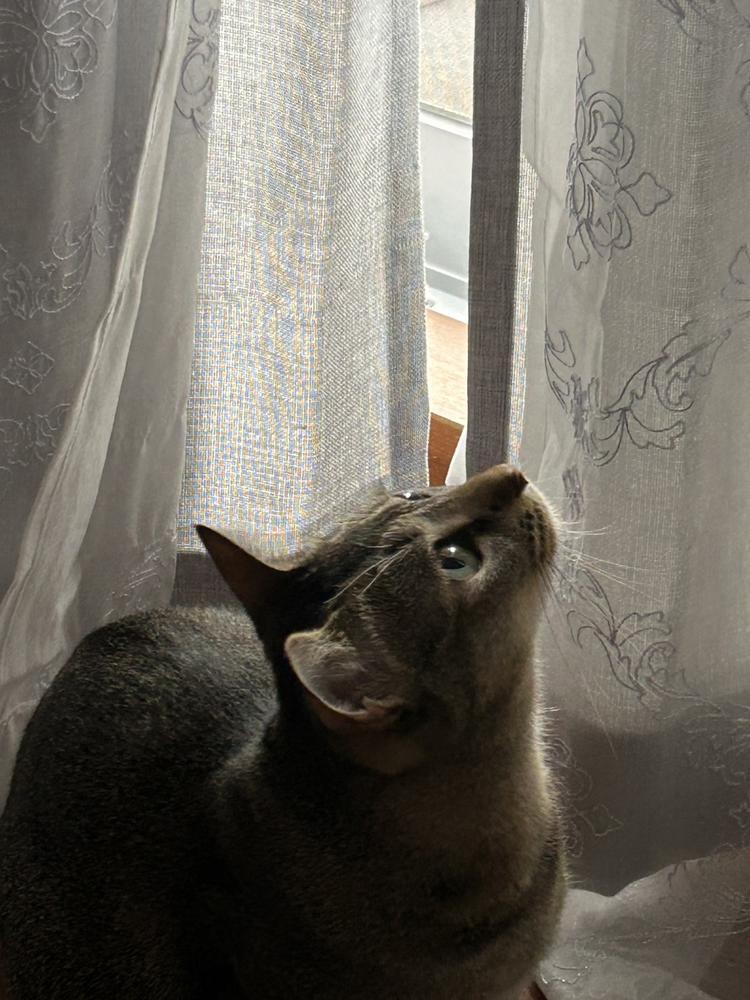 木曜日出勤だよ♡