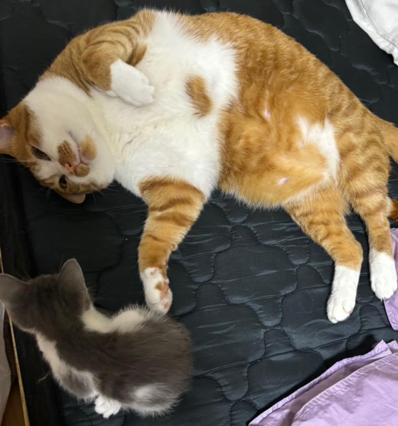 実家です実家🏠