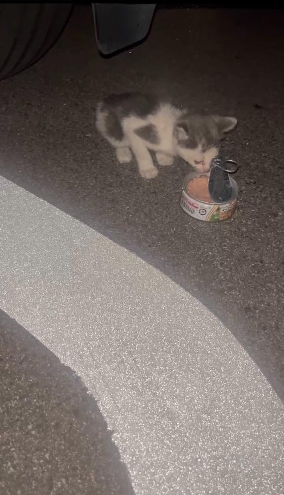 新たな出会い✨