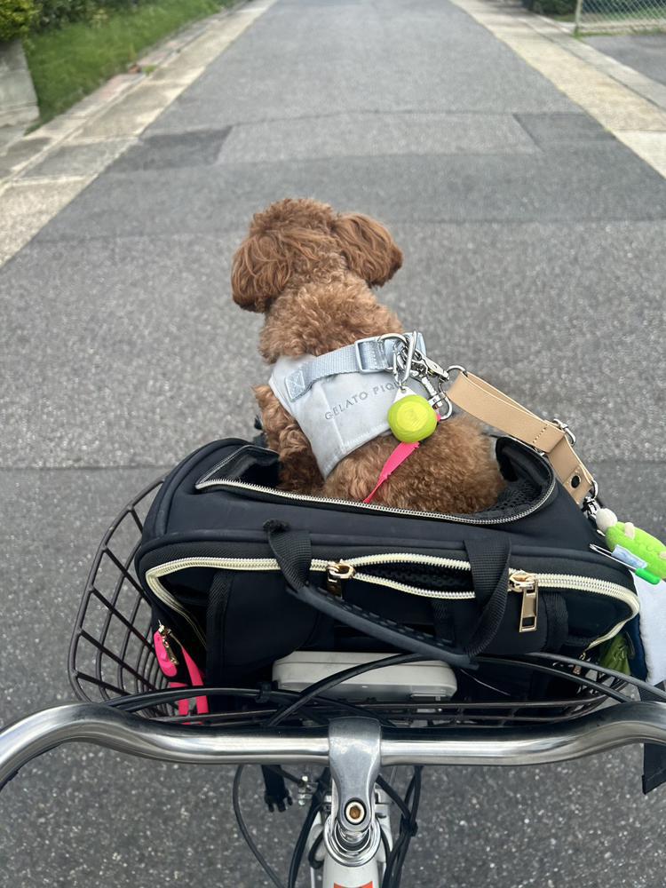 自転車7年ぶりとか？？