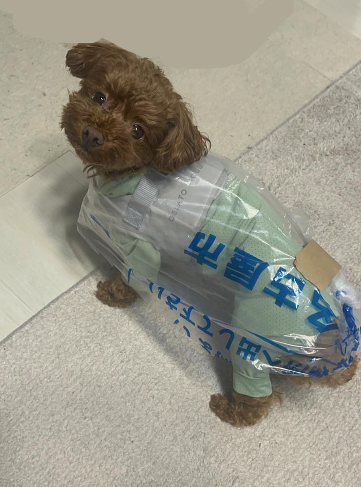 即席レインコート