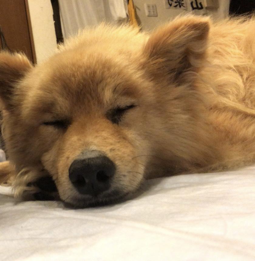 生まれ変わっても自分がいい