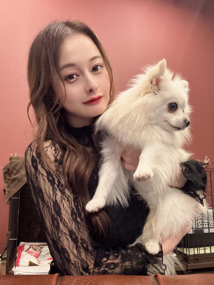 いぬとふんわり生活