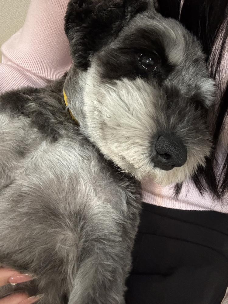 わんわんわん💖