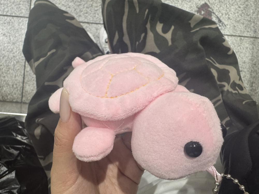 🐢幸せな日々🍓