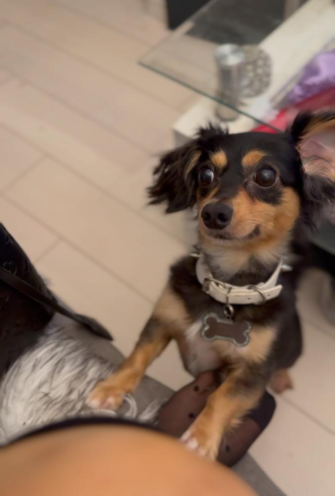 おしゃべりできるんです