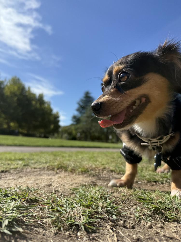 運動能力ひくめ💃🏽