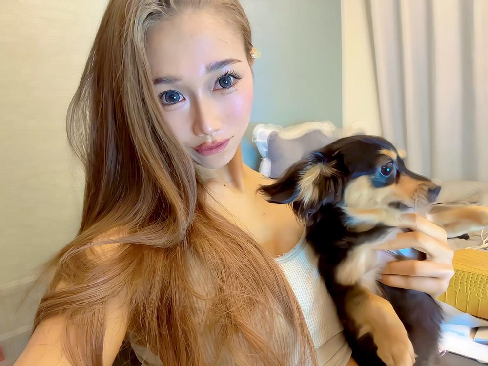 🎶✨𝑯𝑨𝑵✨🎶