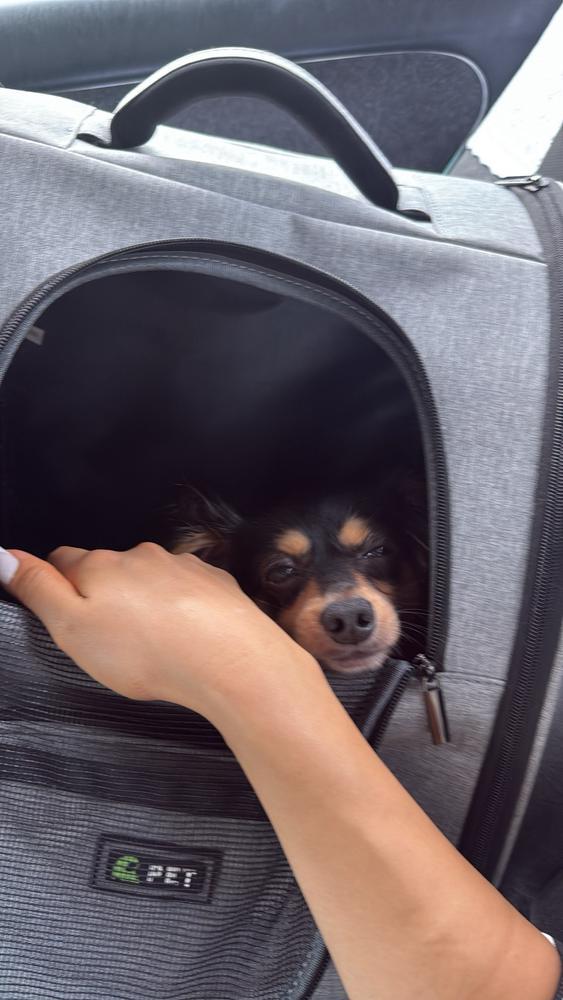 おつかれさまでした