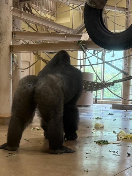 ほほぉいい👐🏽❤️