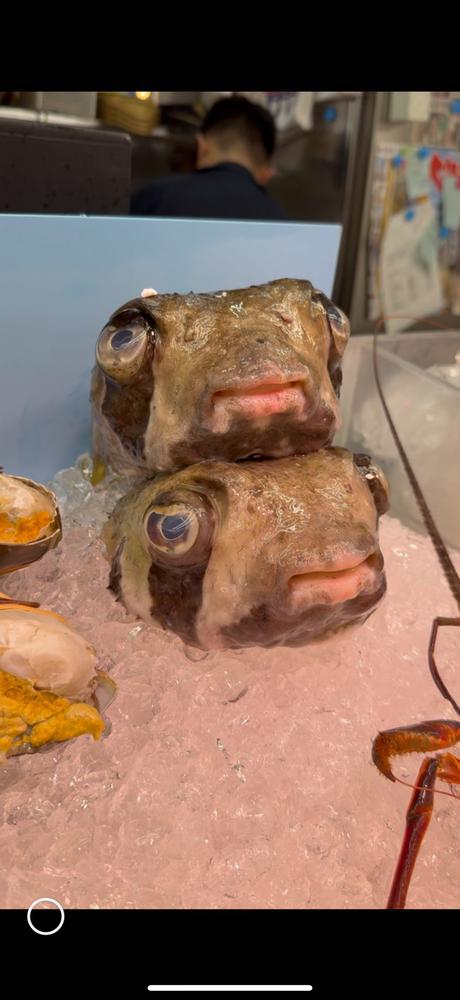 斬新でかわあい