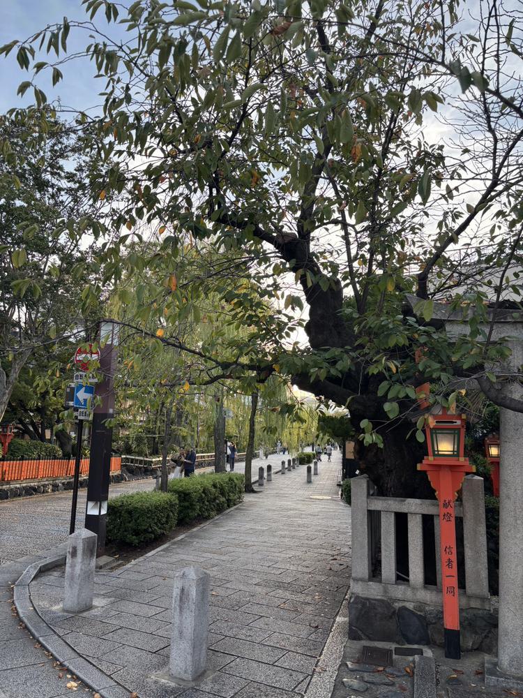 京都🍵