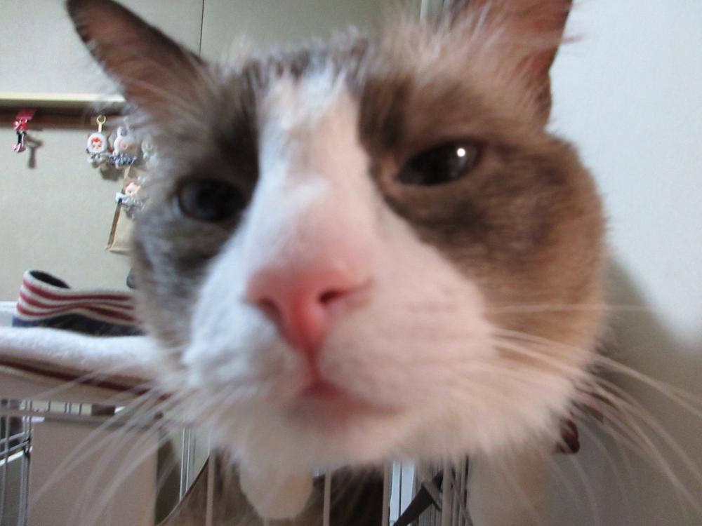 大雨注意だよ‼️