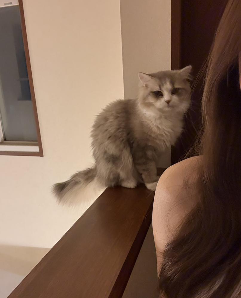 出勤したよー！