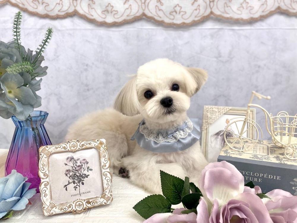 誕生日前日🎂💫