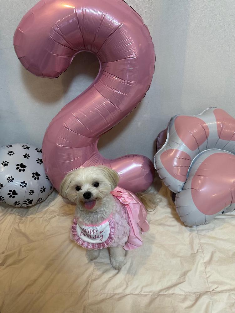愛犬の誕生日会🎂🐶