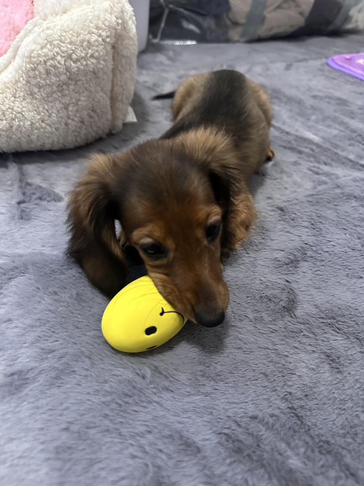 10月もあと少し