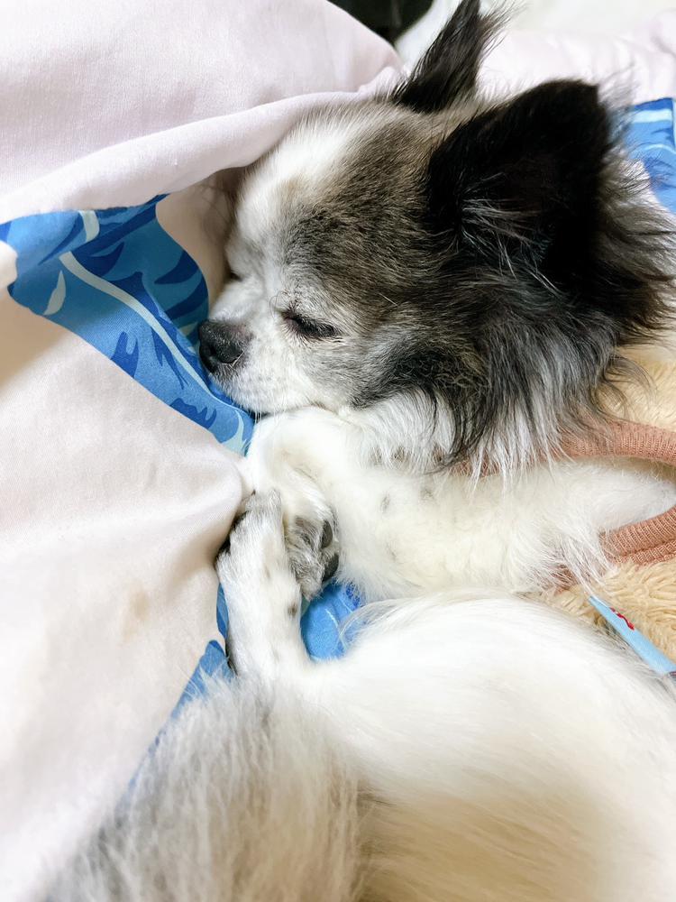 今週の出勤　火、木、金です！