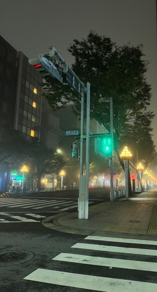 霧に包まれた深夜3時‼️🌟