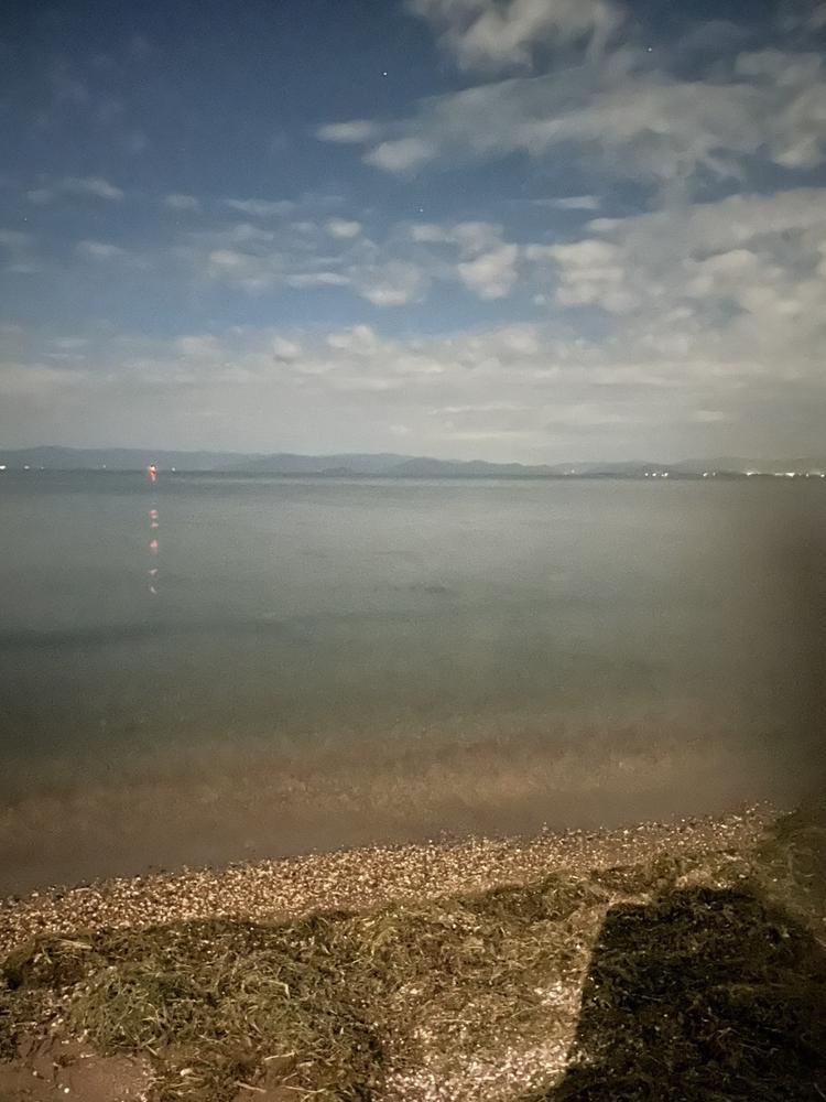 病み上がりです🌀