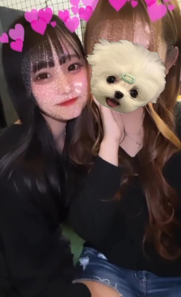 おやすみいただいてます