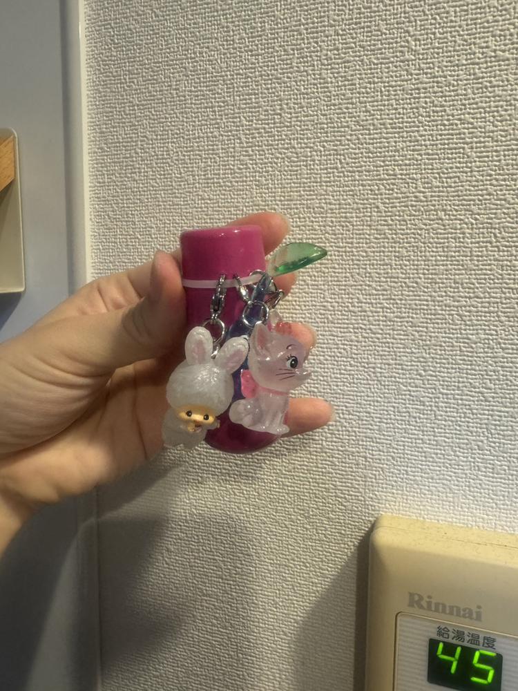 おはようございます〜！