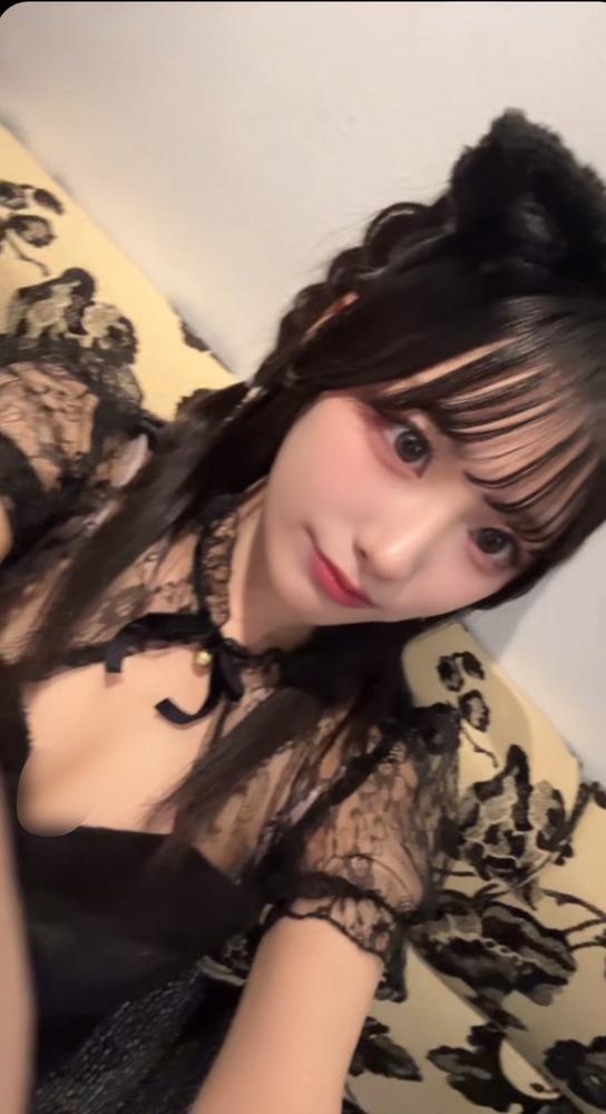 今日もにゃーの日だよ🐱