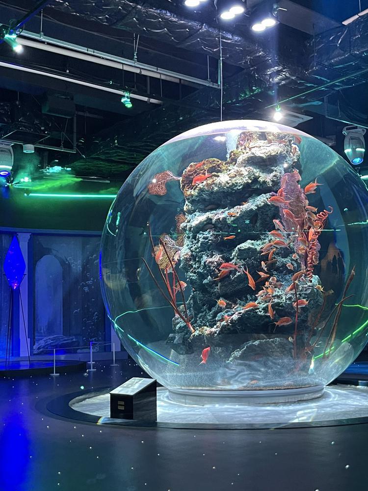 アトアー‼️🐟