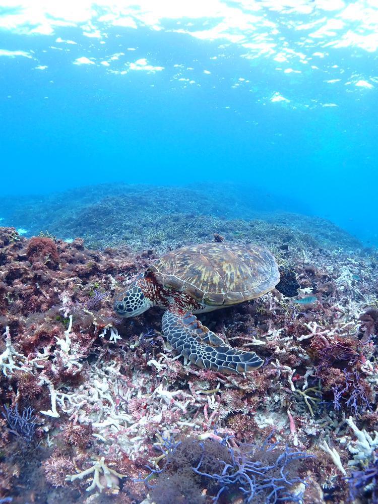 しゅきん🙌🏻