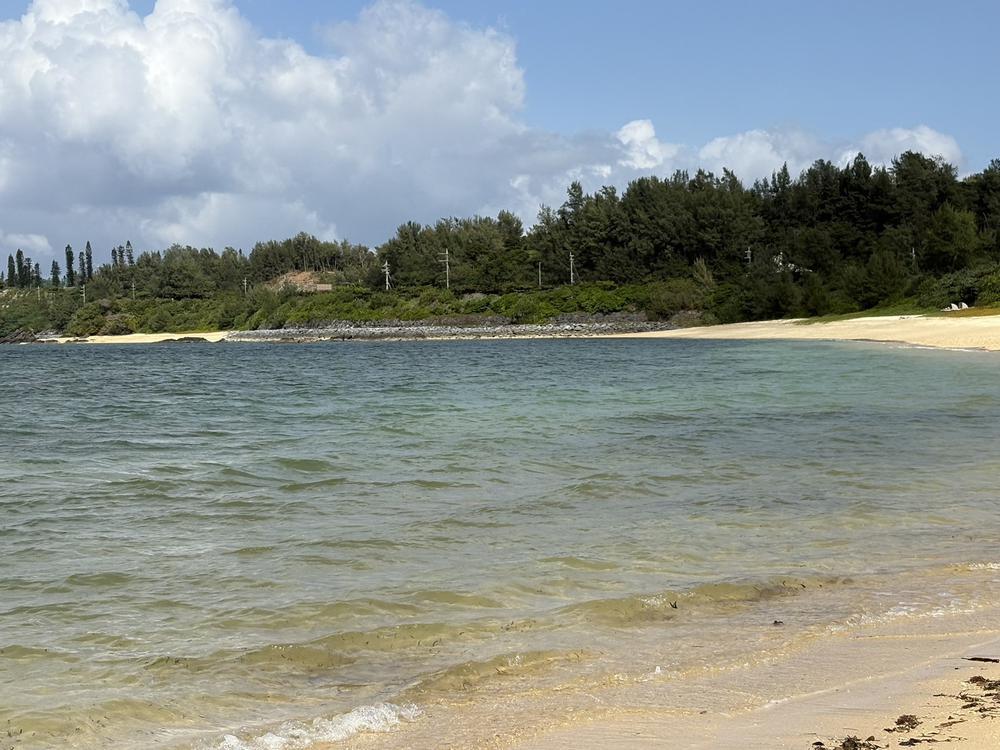 沖縄癒しスポット