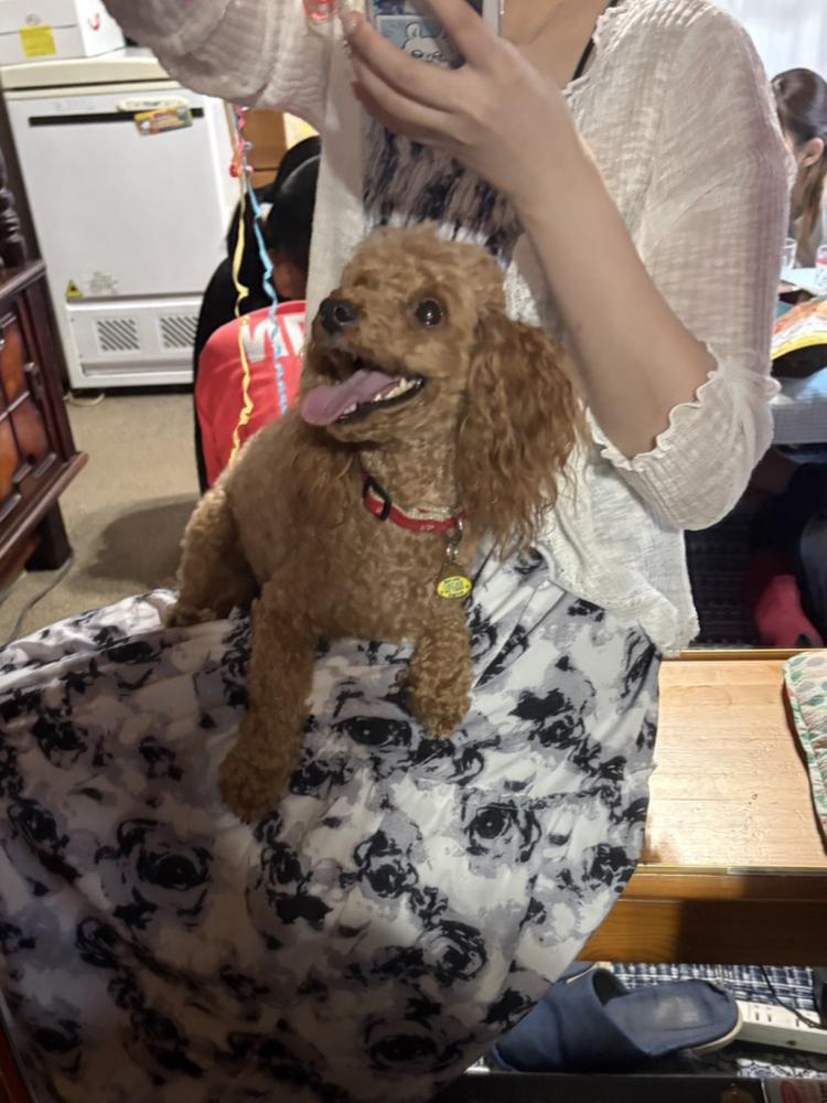 テストしてみる