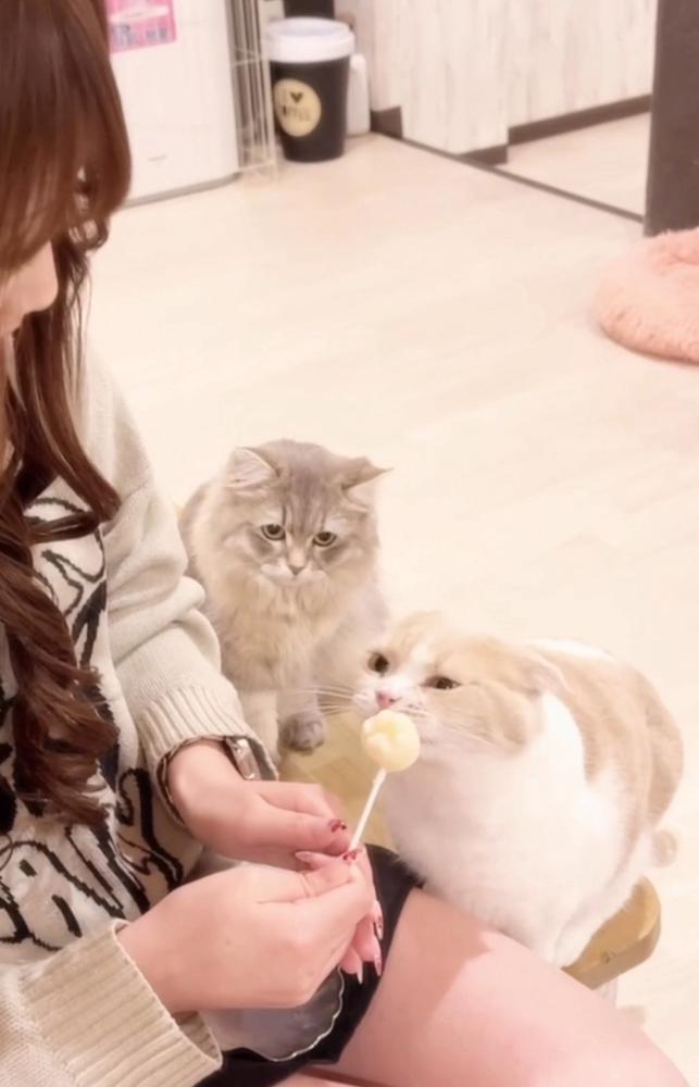 一生決まらない