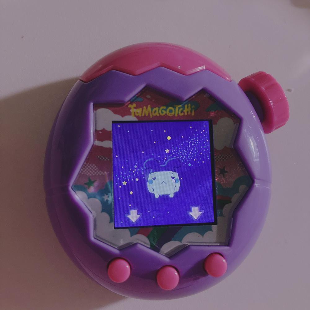 やってしまった