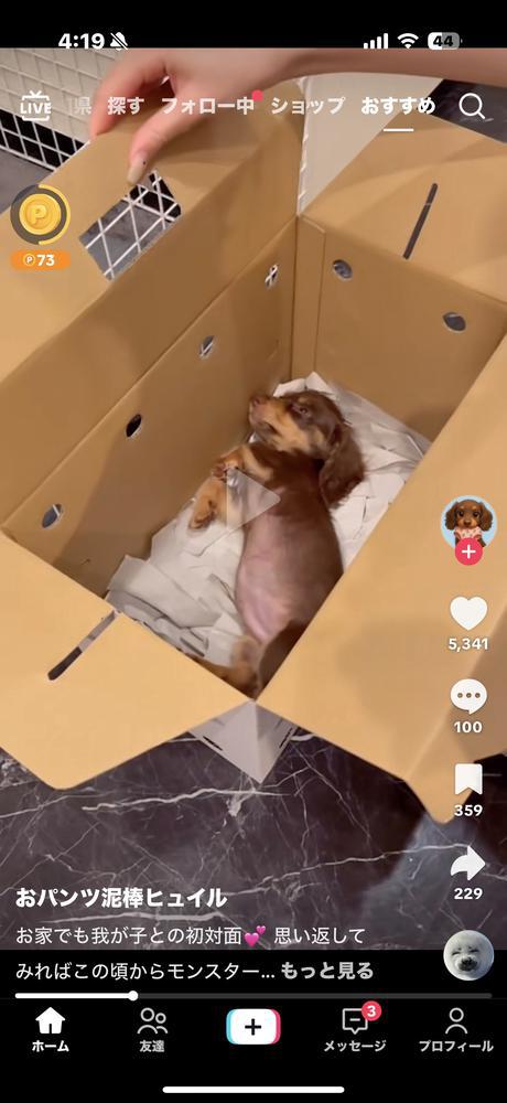 え？こんなの見た事ない笑