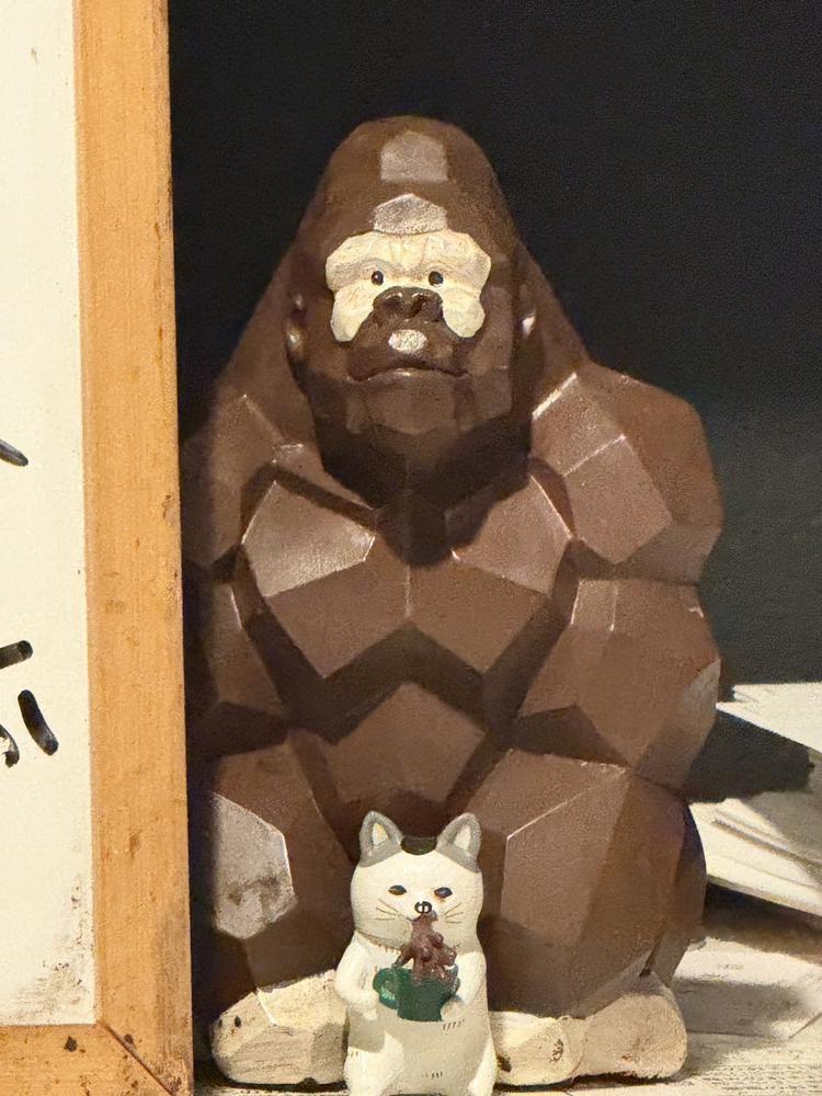 ゴリラとネコ🦍🐱