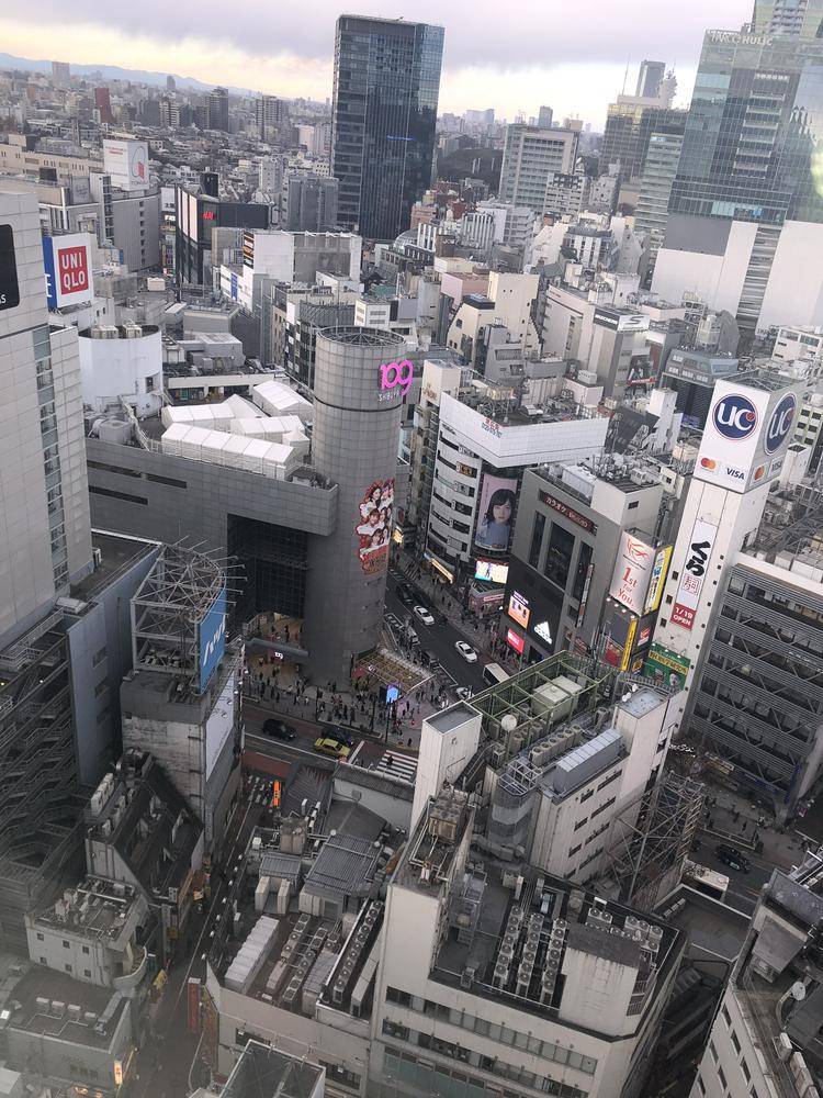 11月いざ東京へ‼️